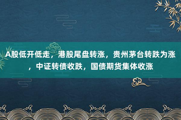 A股低开低走，港股尾盘转涨，贵州茅台转跌为涨，中证转债收跌，国债期货集体收涨