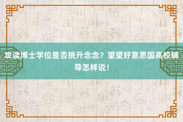 攻读博士学位是否挑升念念？望望好意思国高校辅导怎样说！